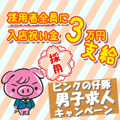 ピンクの仔豚(デリバリーヘルス/十三)